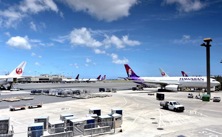 抚顺始发浦东机场航空快递
